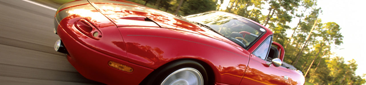 Silicone Rubber Extrusions for Automotive Industry Silicone Rubber Extrusions for Automotive Industry